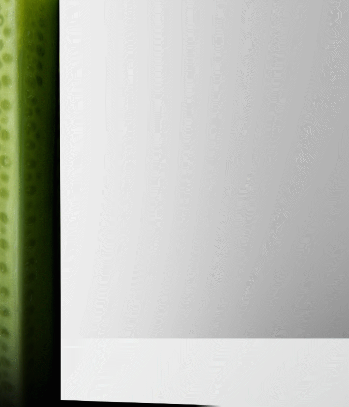 Cucumber